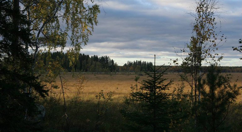 Gammelstilla-Bredmossens domänreservat, Naturreservat