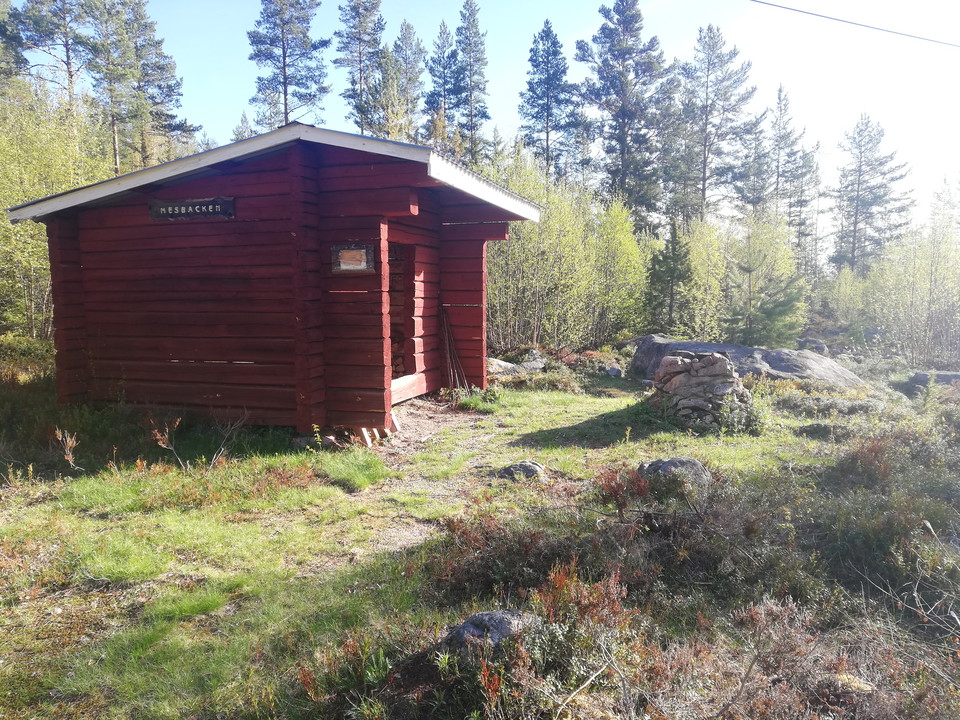 Vindskyddet Mesbacken ligger precis där 10 km-spåret viker av