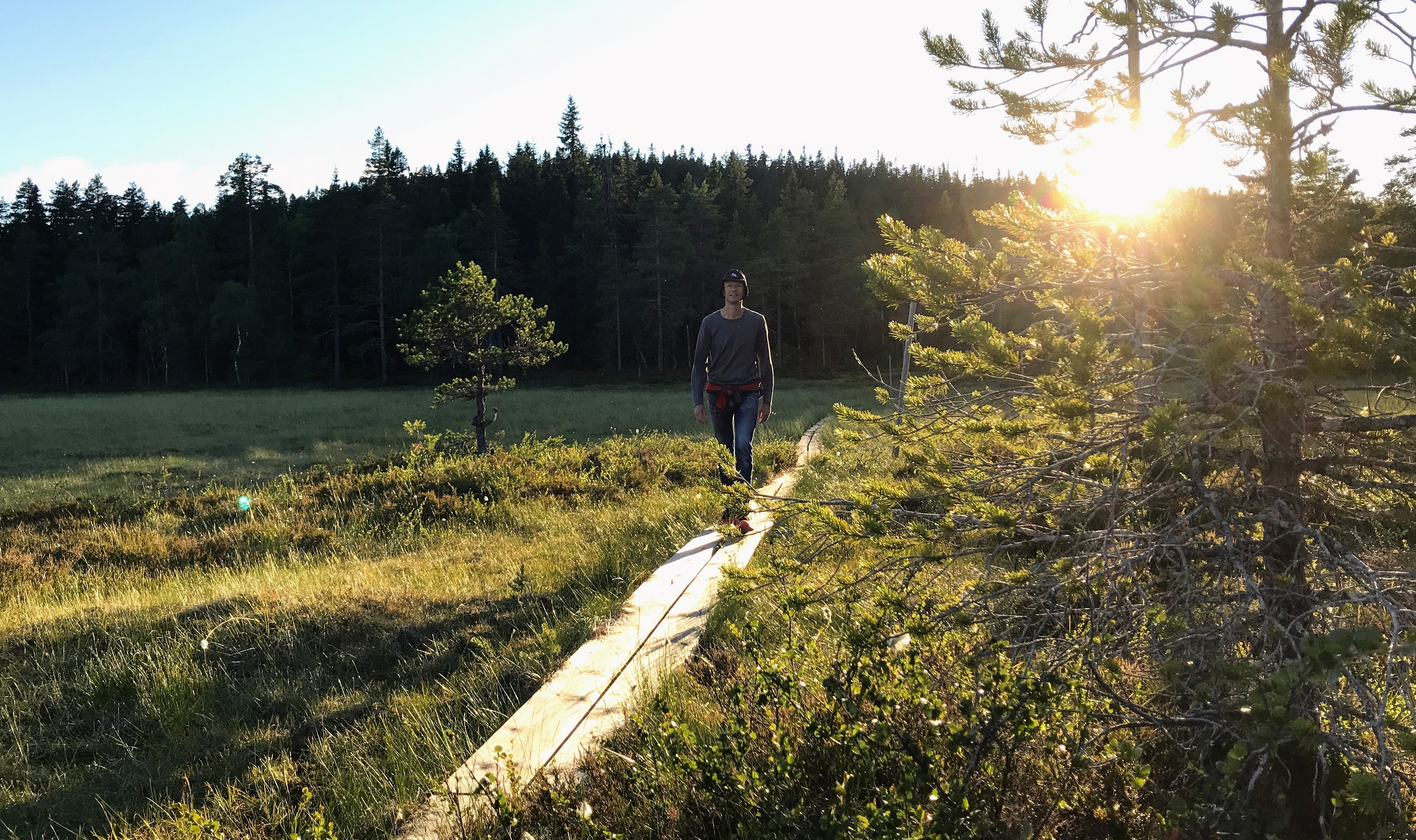 Naturkartan i bräschen för digital vandringsutveckling