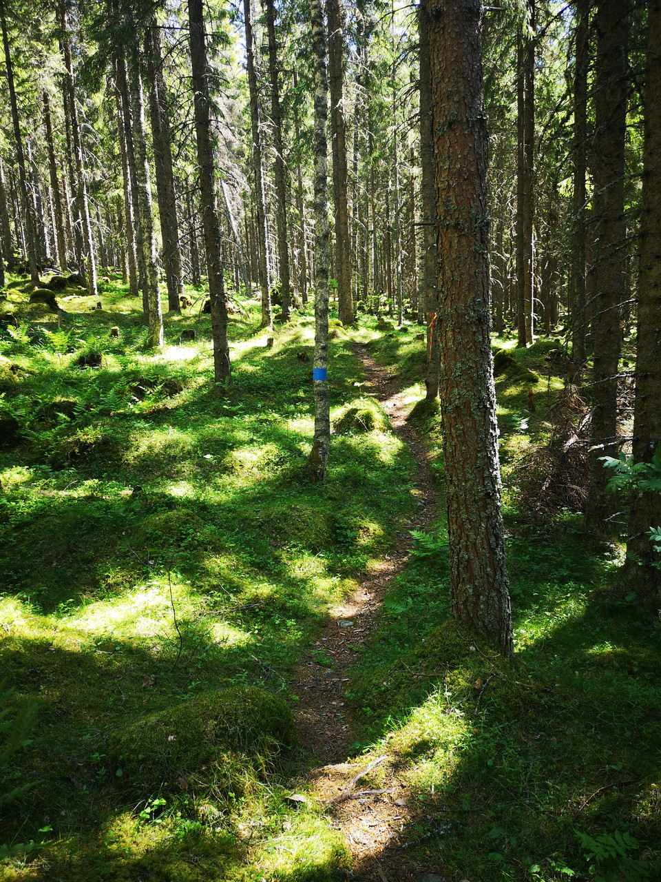 Stömnesvallen - Råbergsvallen