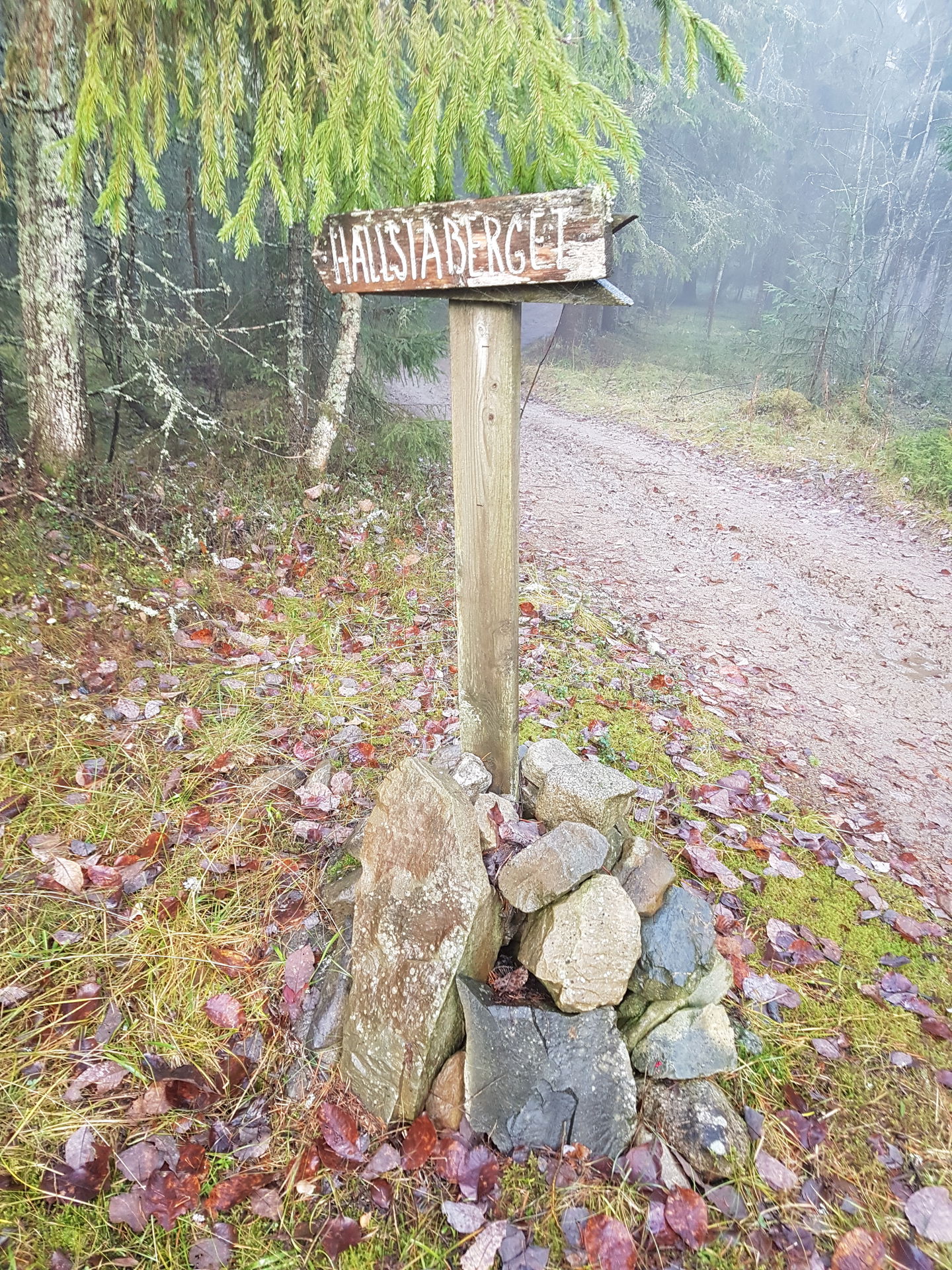 Stigen från sydöstra sidan är bitvis skyltad