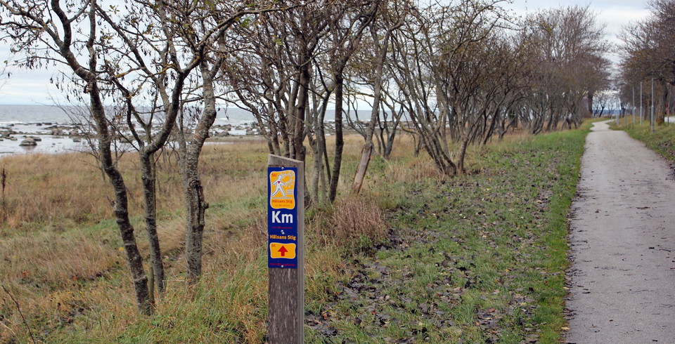 Torbjörn Holmstedt, Norderstrand