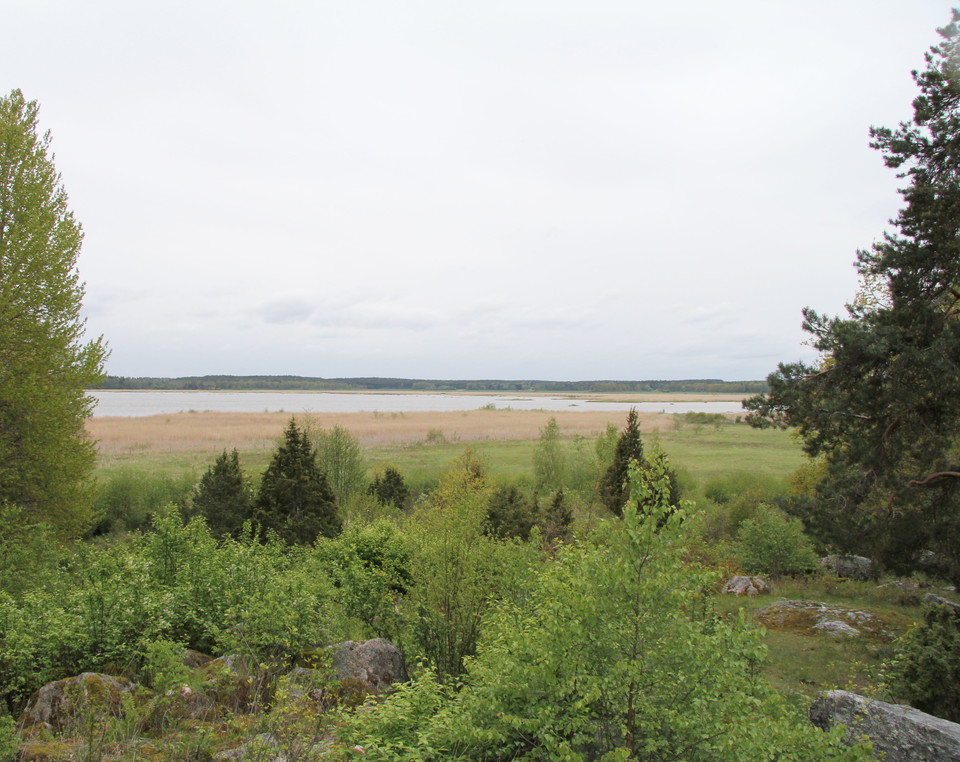 Vy ut över strandängar och Mälaren.