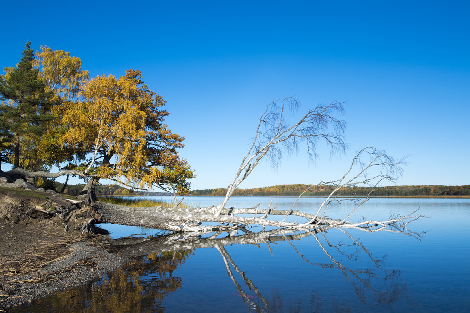 På udden kan du bada, grilla och njuta.