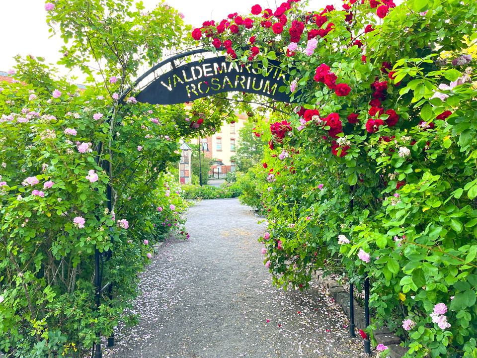 Rosariumparken i Valdemarsvik centrum