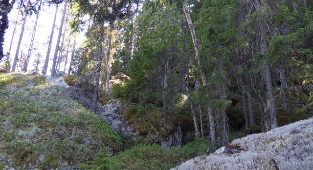 Skansberget, Naturreservat