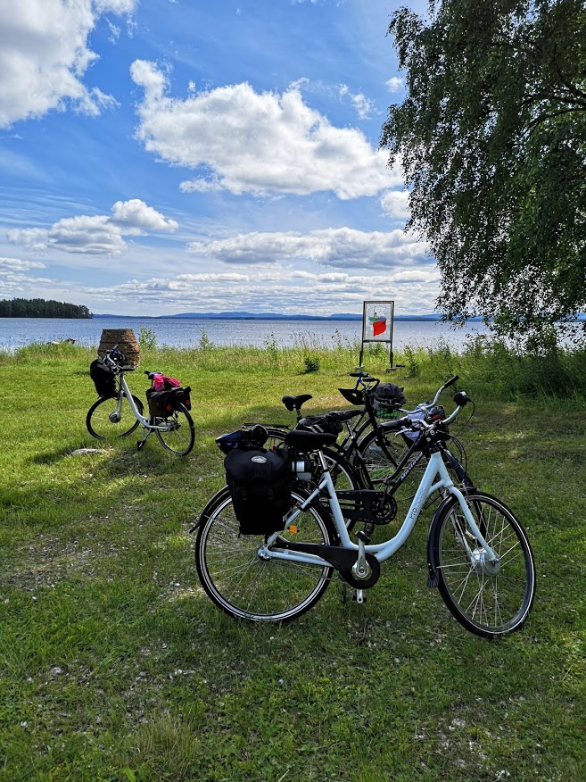 Konst i Hamn i Movikens hamn