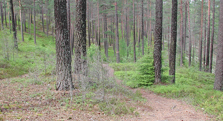 Lämpenshålan, Naturreservat