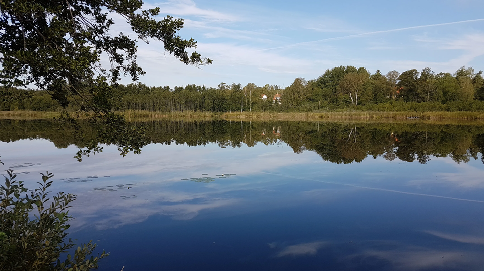 Ekebysjöns naturreservat i Danderyd