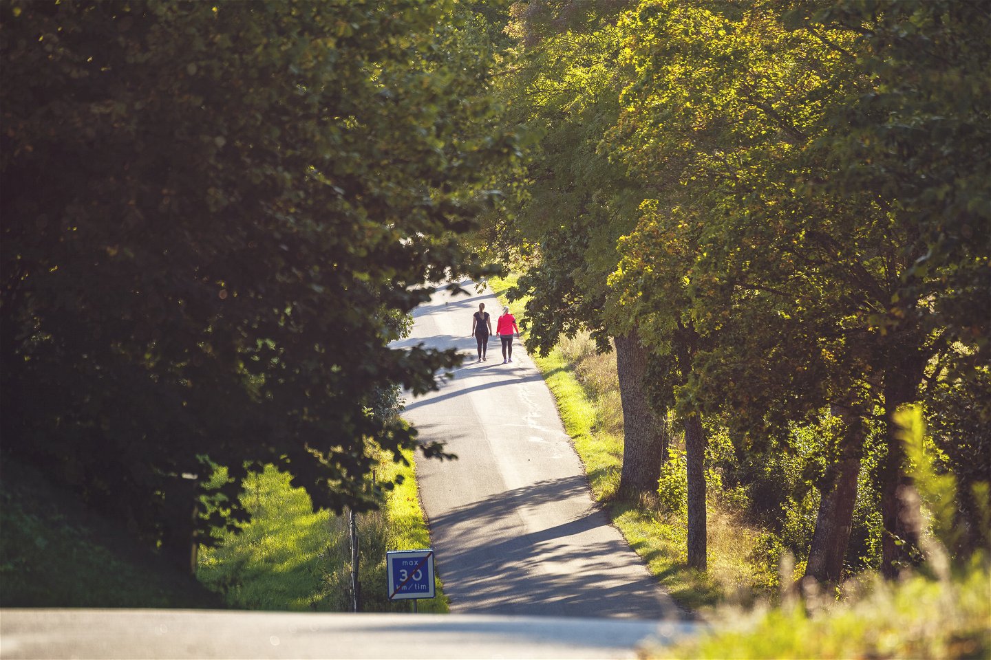 Två personer vandrar på asfalt i en grönskande miljö