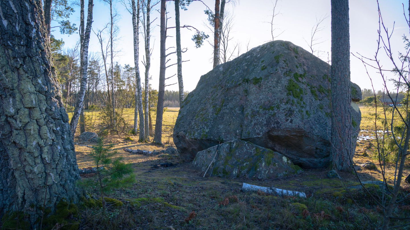 Stor sten i skogen