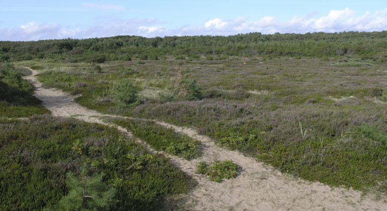 stig i reservatet