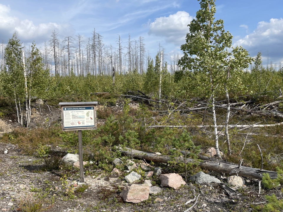 Informationsskylt vid stig, om geologi.