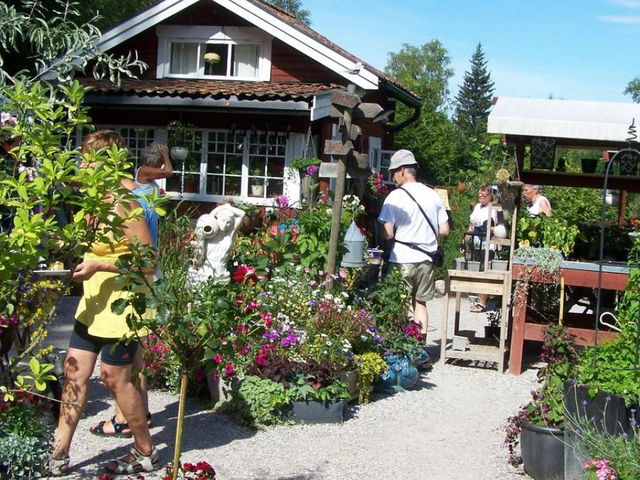 Bäsna trädgård