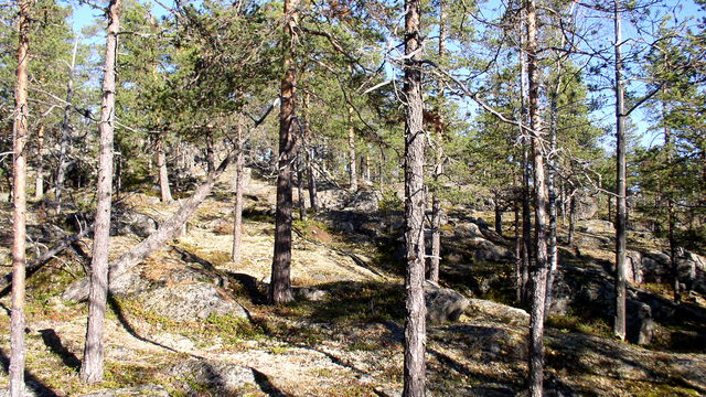 Lövberget