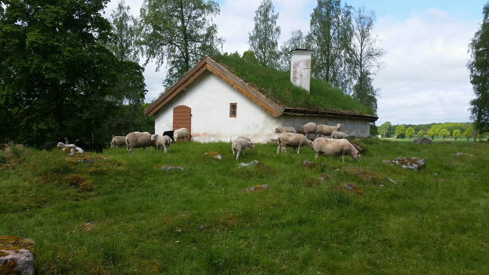 Håkan Lernefalk
