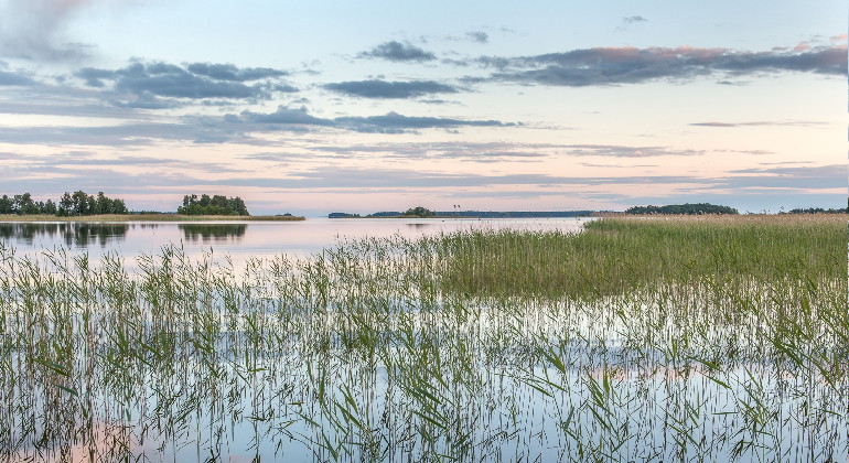 Vy över vattnet vid Nötön.