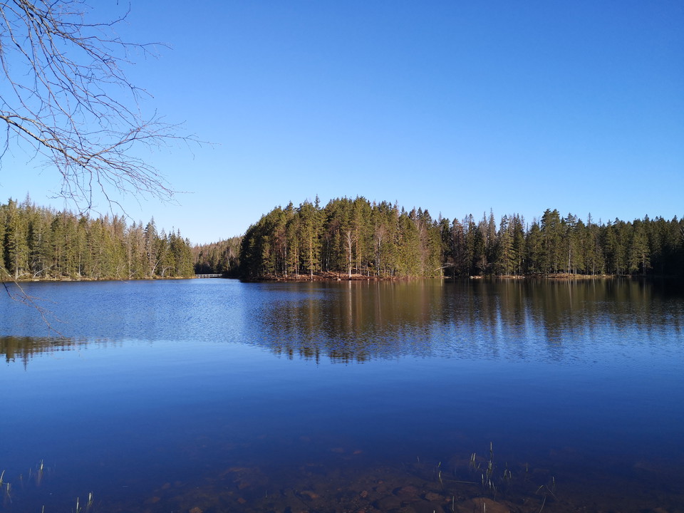 Vy över Örtjärnen och rastplatsen
