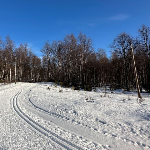 Elljusspår 6 km (längdskidor, Vålådalen)