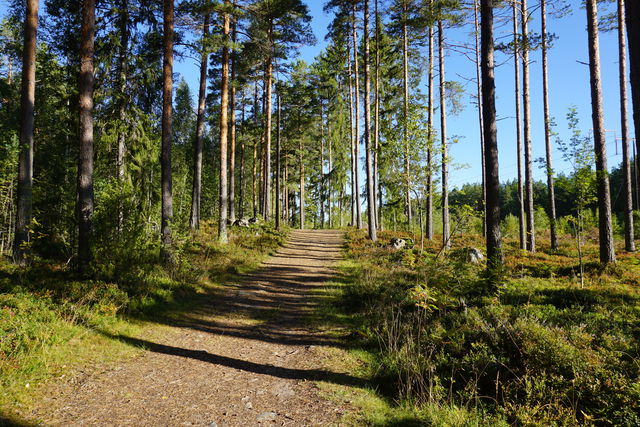 Hagaströms motionsspår