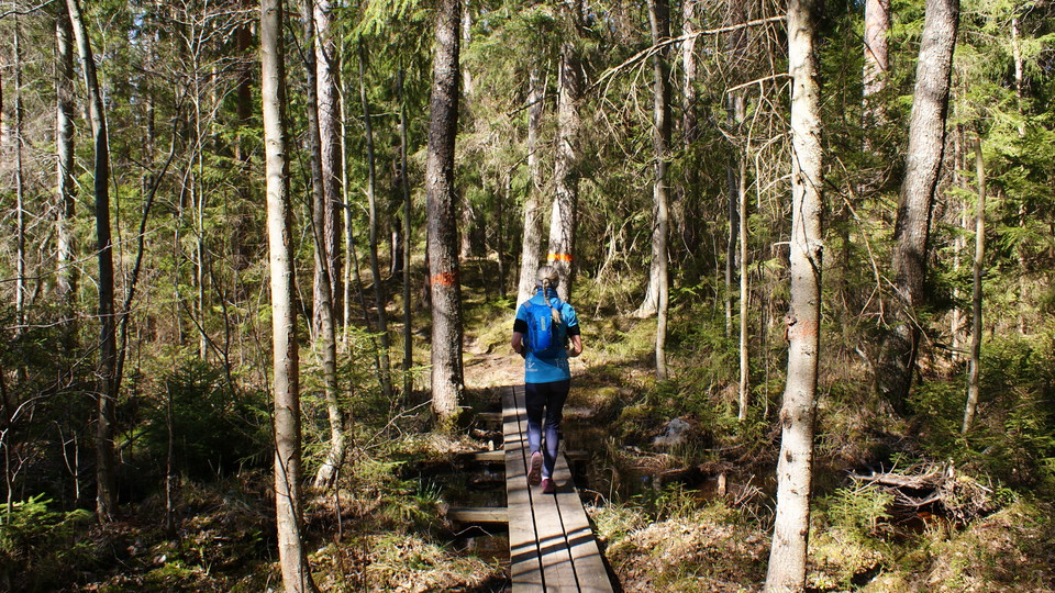 Löpare på väg mot St Trehörningen