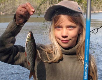 Sportfiskekortet, Judarn