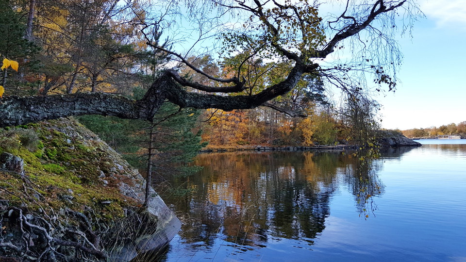 Strand i norra Sticklinge. Foto Lidingö stad