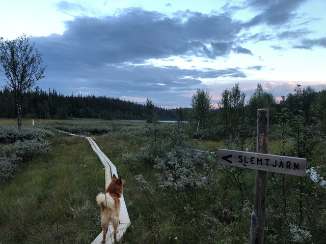 Svartsjön–Trollebo Njakafjäll