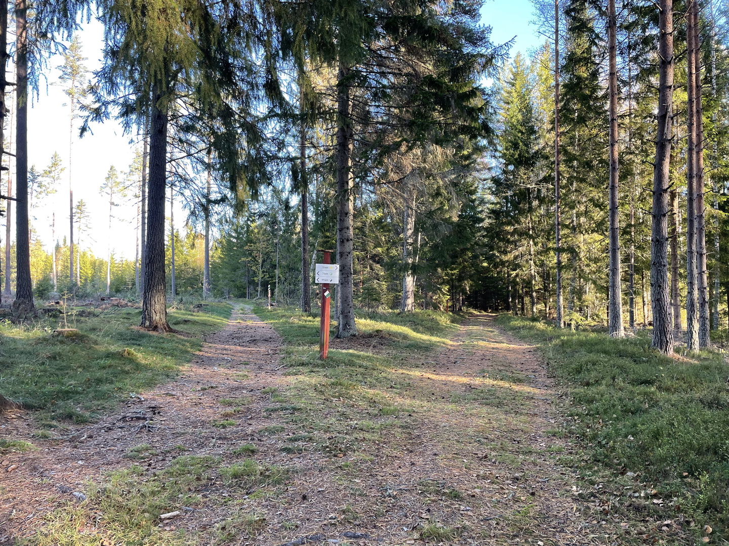Två stigar separeras där skyltar visar att 7 km och 17 km spår går åt vänster och 5 km spår åt höger