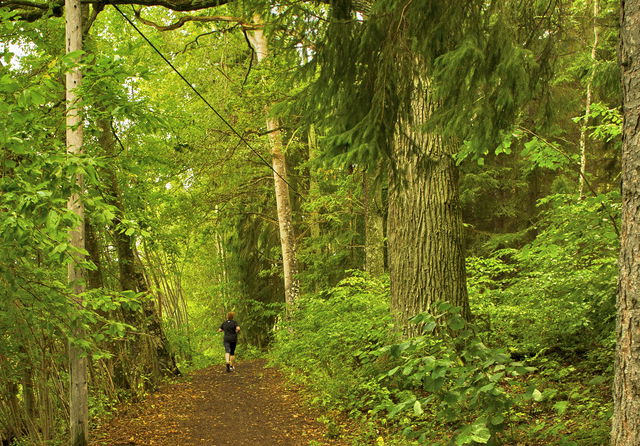 Lambohovs elljusspår (2,5 km)