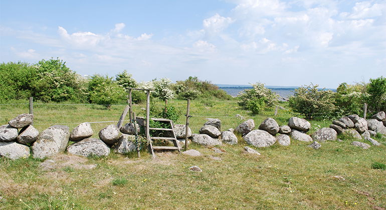 Stätta över stenmuren.