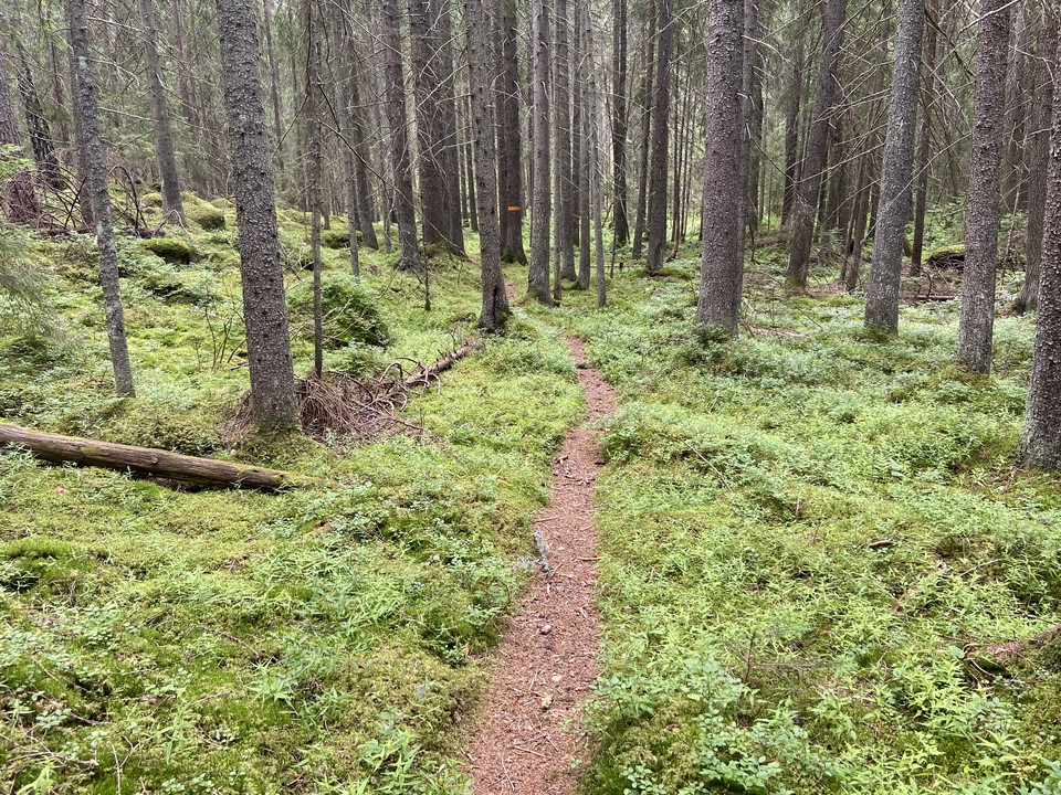 Östa naturreservat.