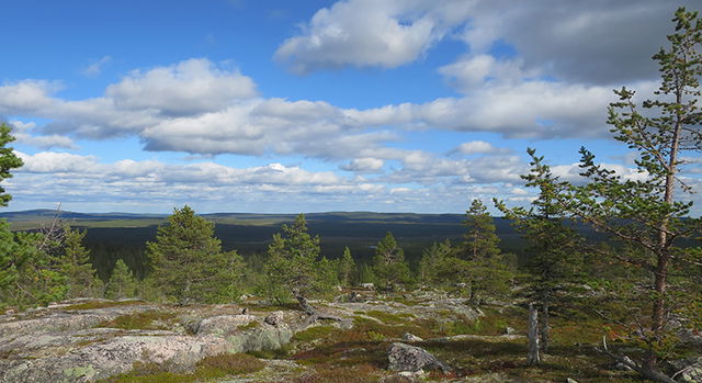 Viewpoint Rahanåive, Kronogård