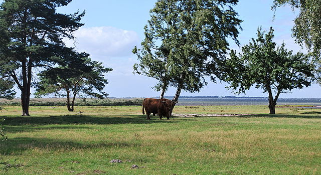 Norra Ljunghusen, Naturreservat