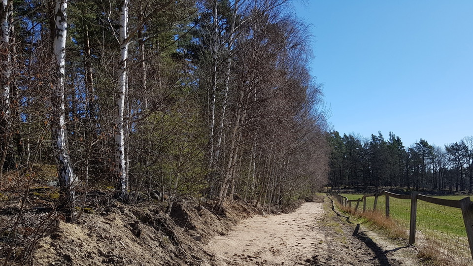 Utökad sandmiljö vid ridstig. Foto Lidingö stad