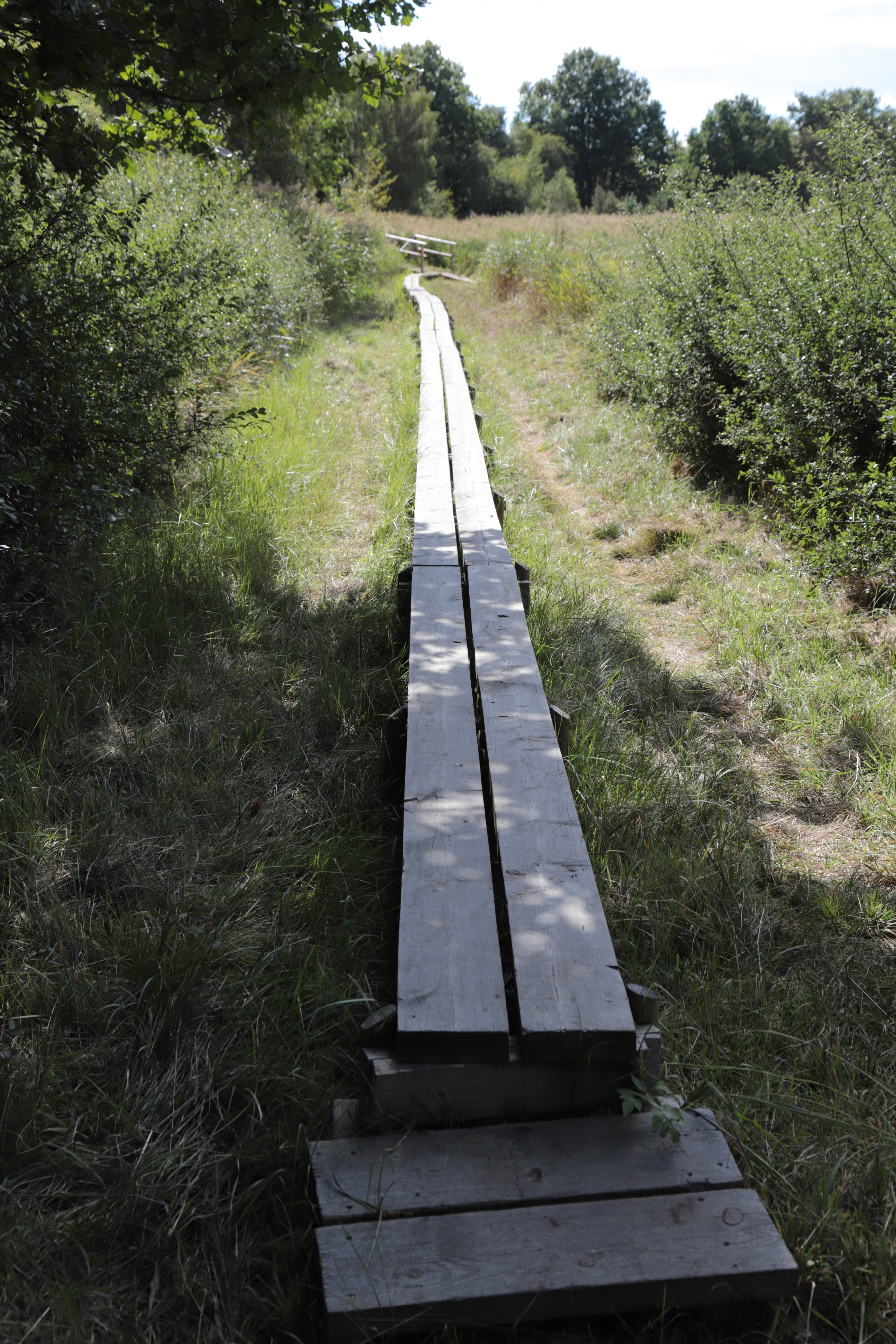 Lång spång hagmark, Skärgårdsparken