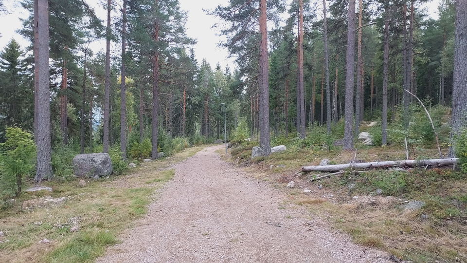 Elljusspåret i Järvsö