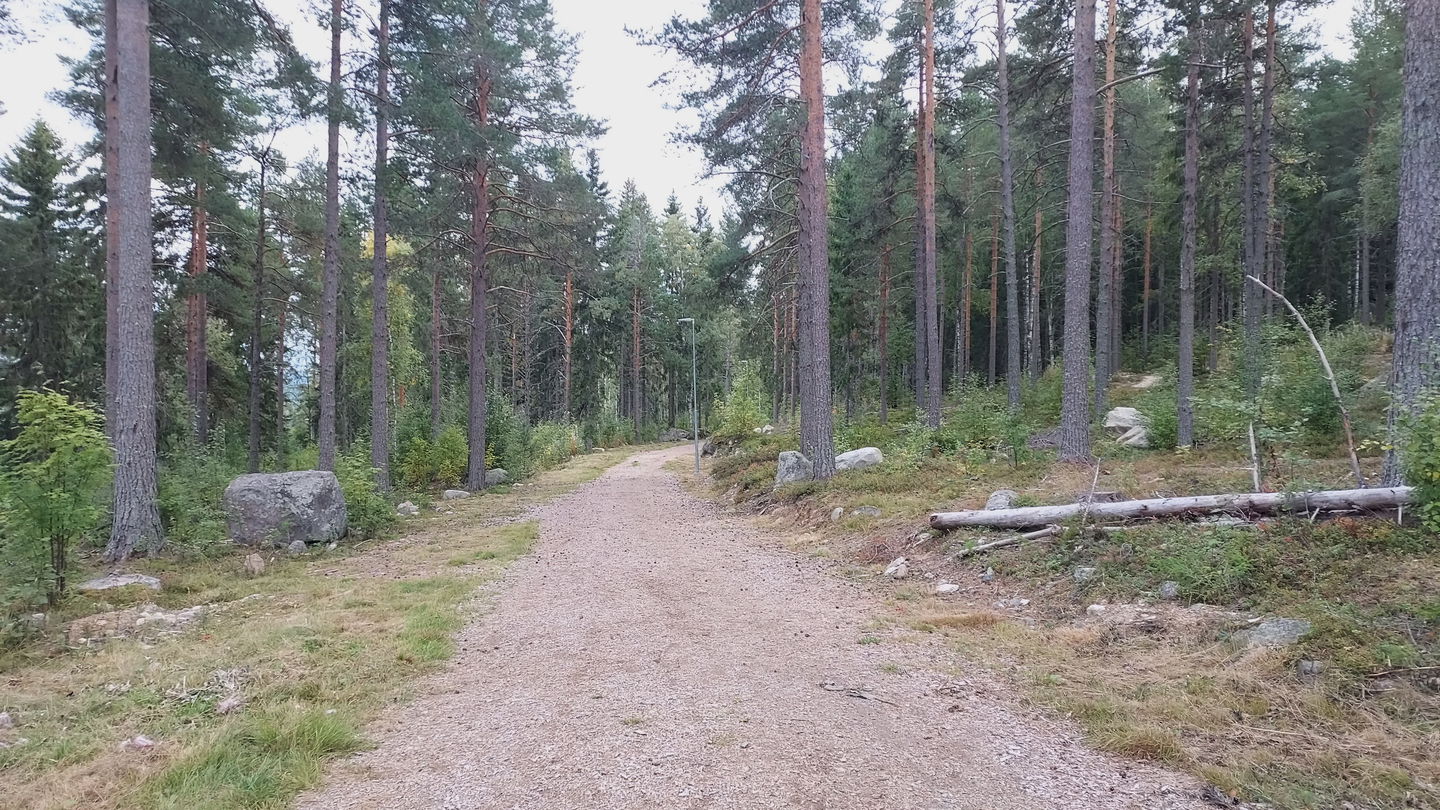 Elljusspåret i Järvsö