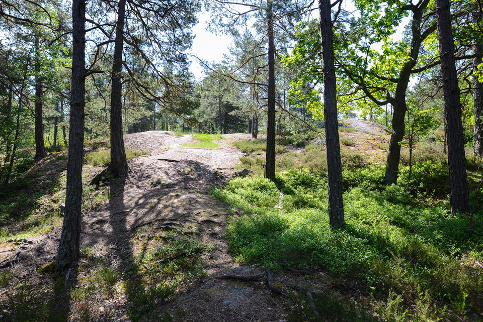 Hällmarker uppe på höjderna