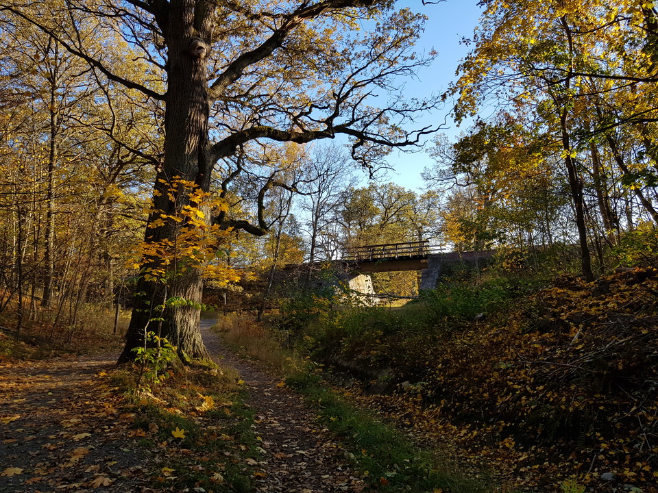 Stigen vid Kottlasjöns utlopp. Foto Lidingö stad