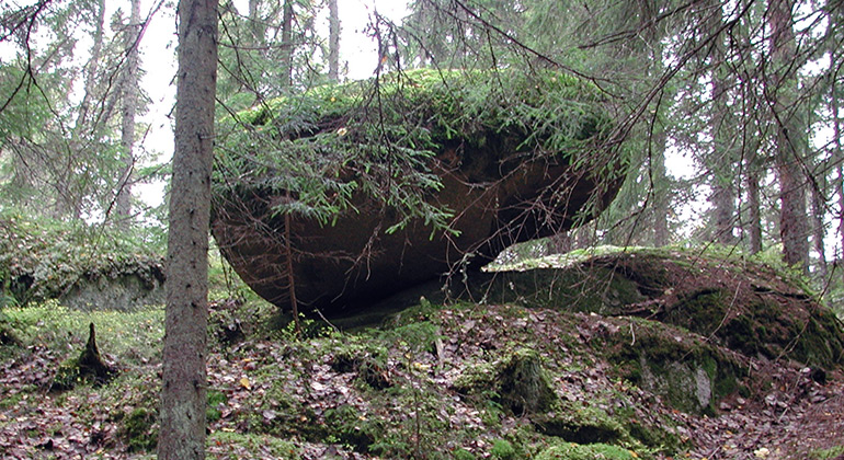 Åbengtshöjden, Naturreservat