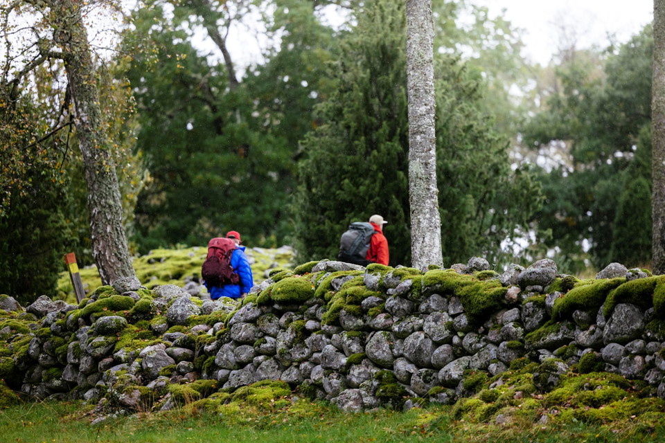 Steniga Småland