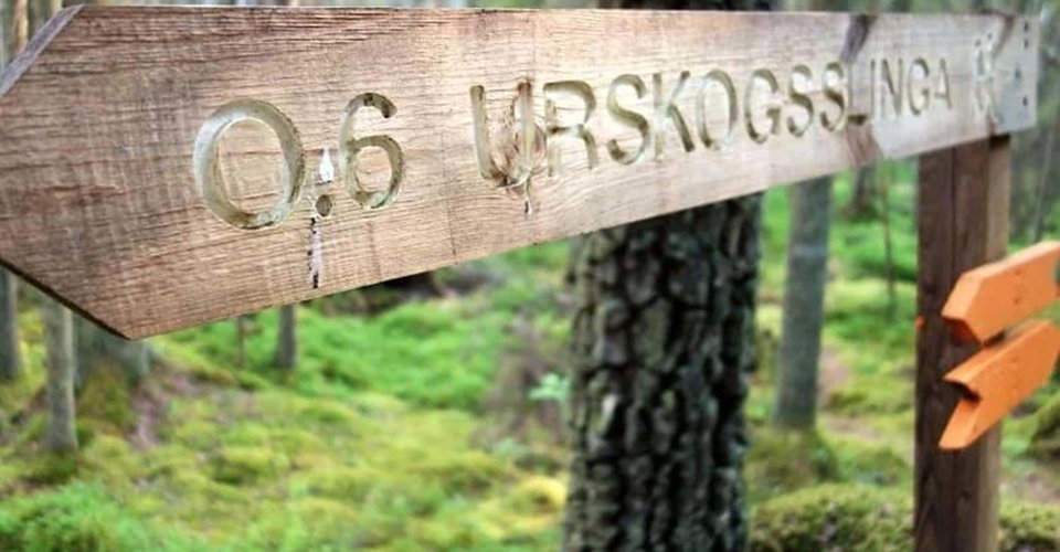 Ycke urskogsslinga 
Etapp Ulrika-Malexander
Linköping