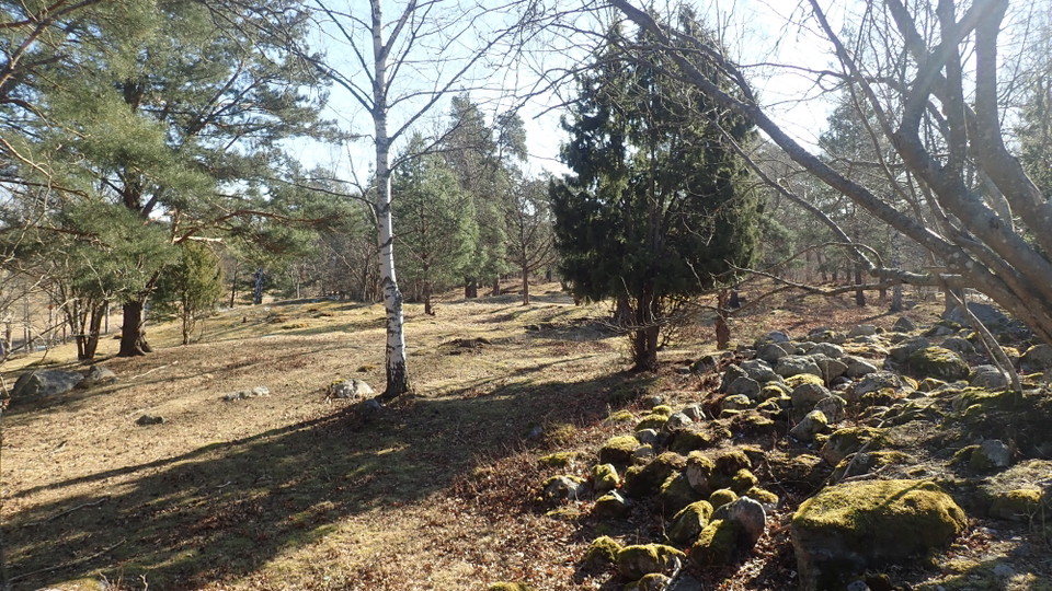 Sticklinge gravfält. Foto Lidingö stad