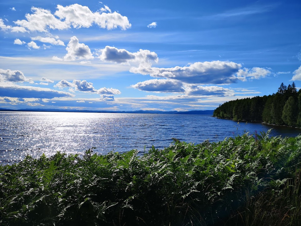 Fin utsikt öven Norrdellen