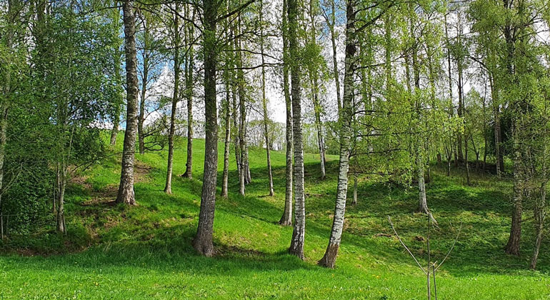 Beteshage vid Åbron