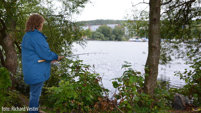 Fiska i Albysjön