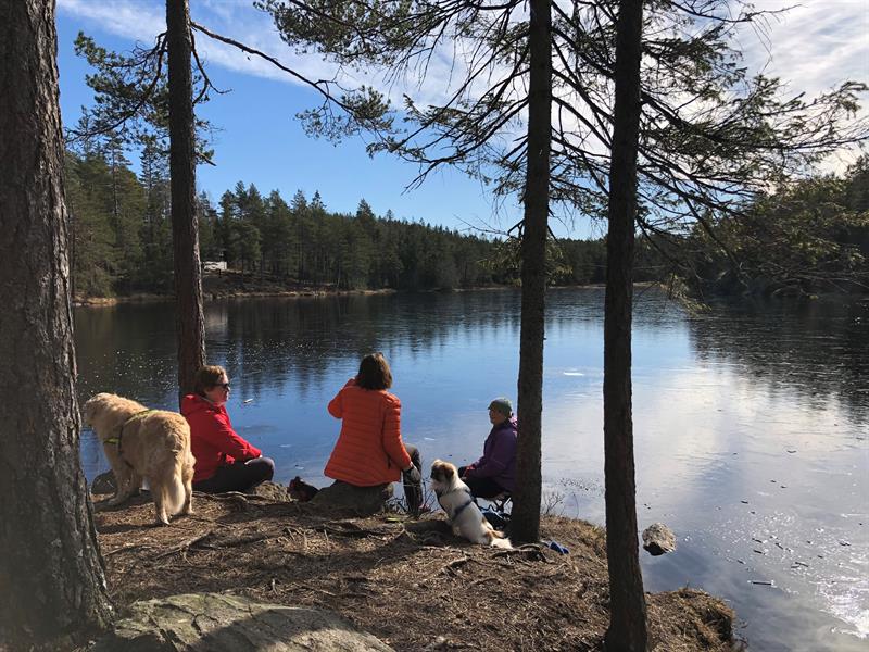 Fjella turområde