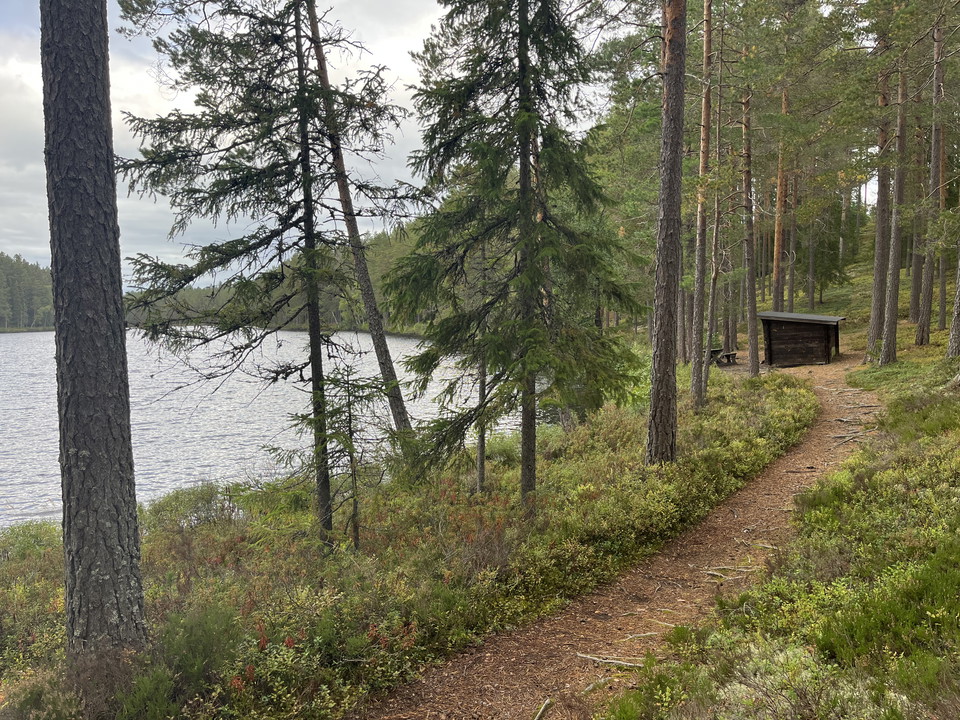 Vy över vindskydd och stigar Övre Långtjärn