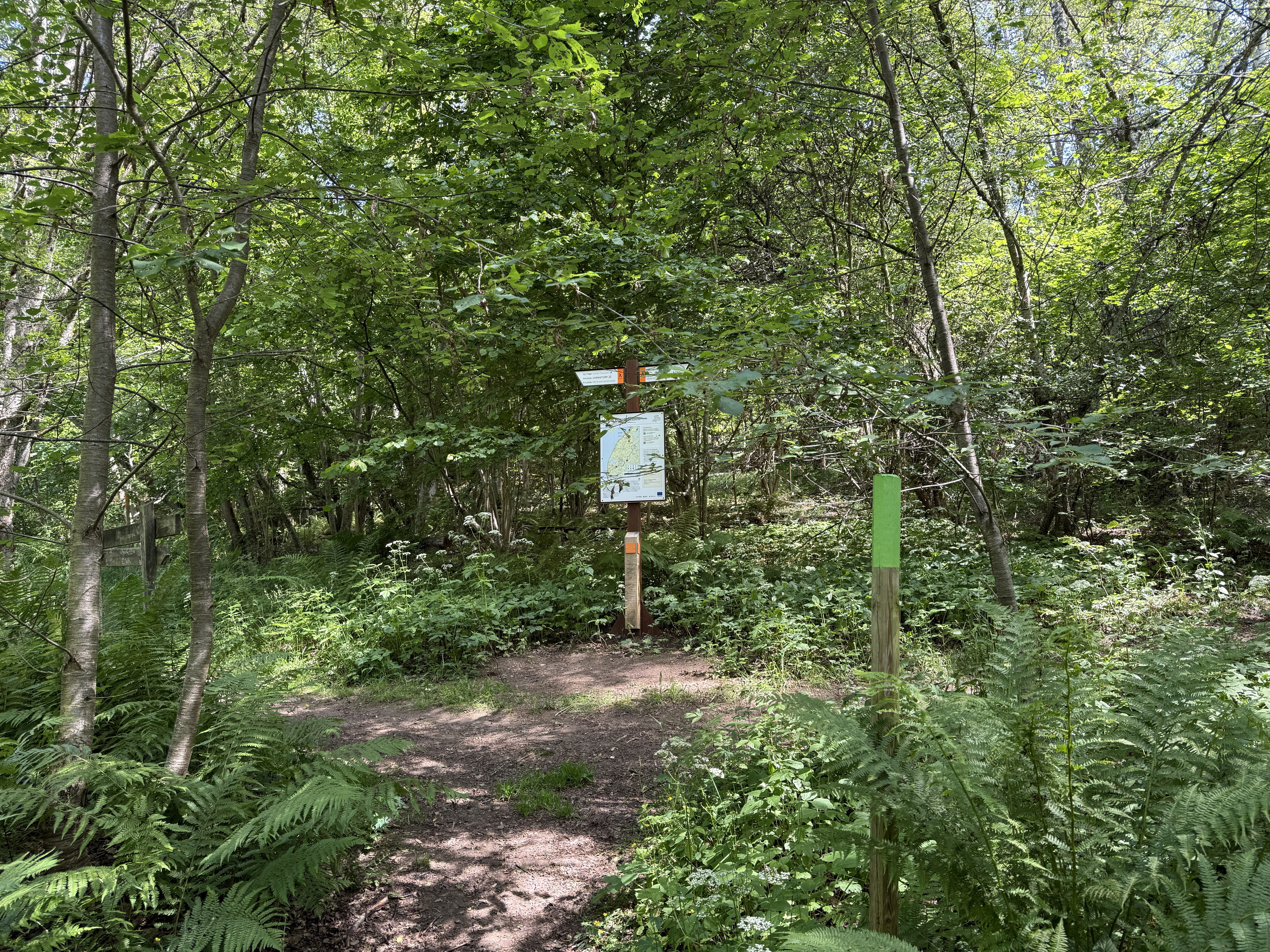 Brunstorpsberget, ledentré JB1